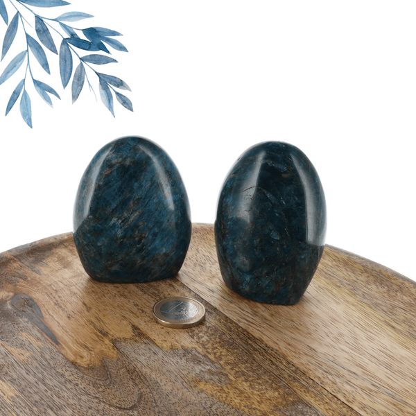 Apatite bleue 0.445kg