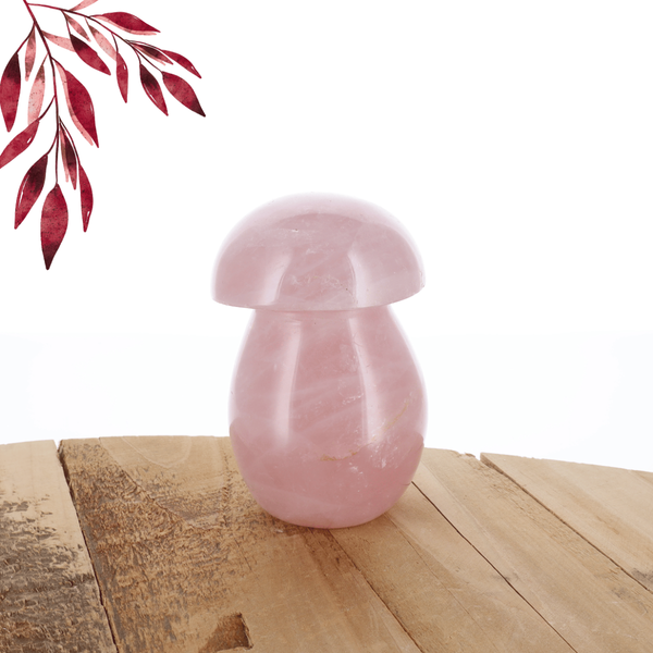 Champignon Quartz rose 0.705kg