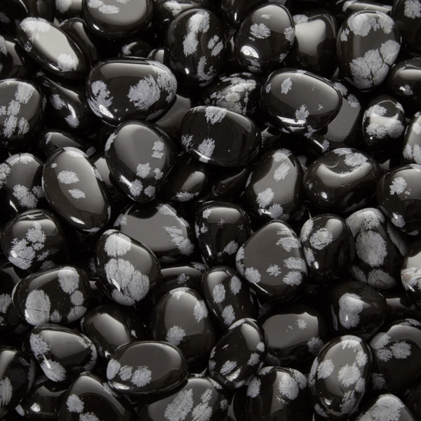 Obsidienne Mouchetée