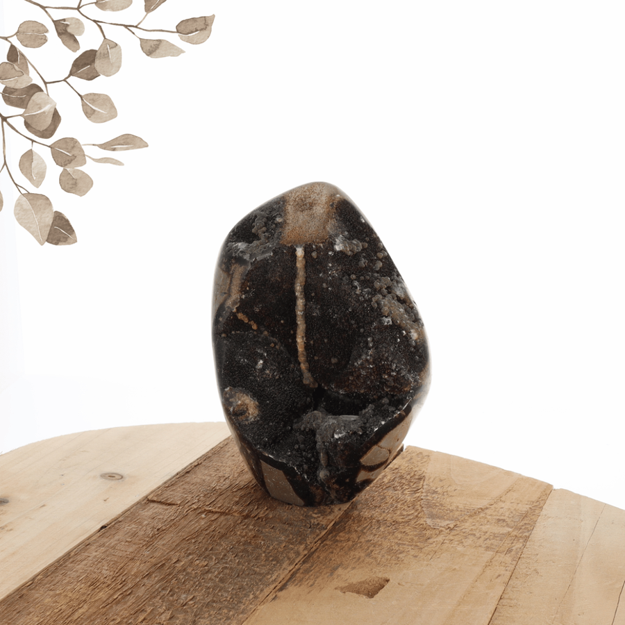 Septaria 0.910kg
