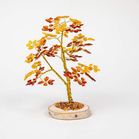 Ambre
