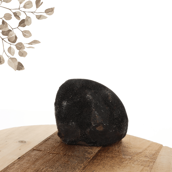 Septaria 0.860kg