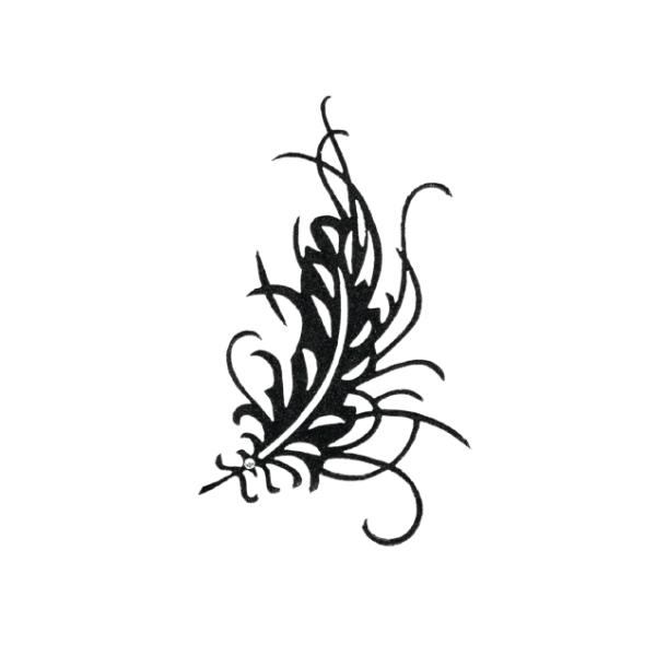 PLUME DU PARADIS - M Paris