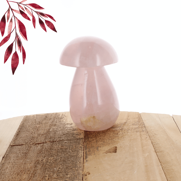 Champignon Quartz rose 0.615kg