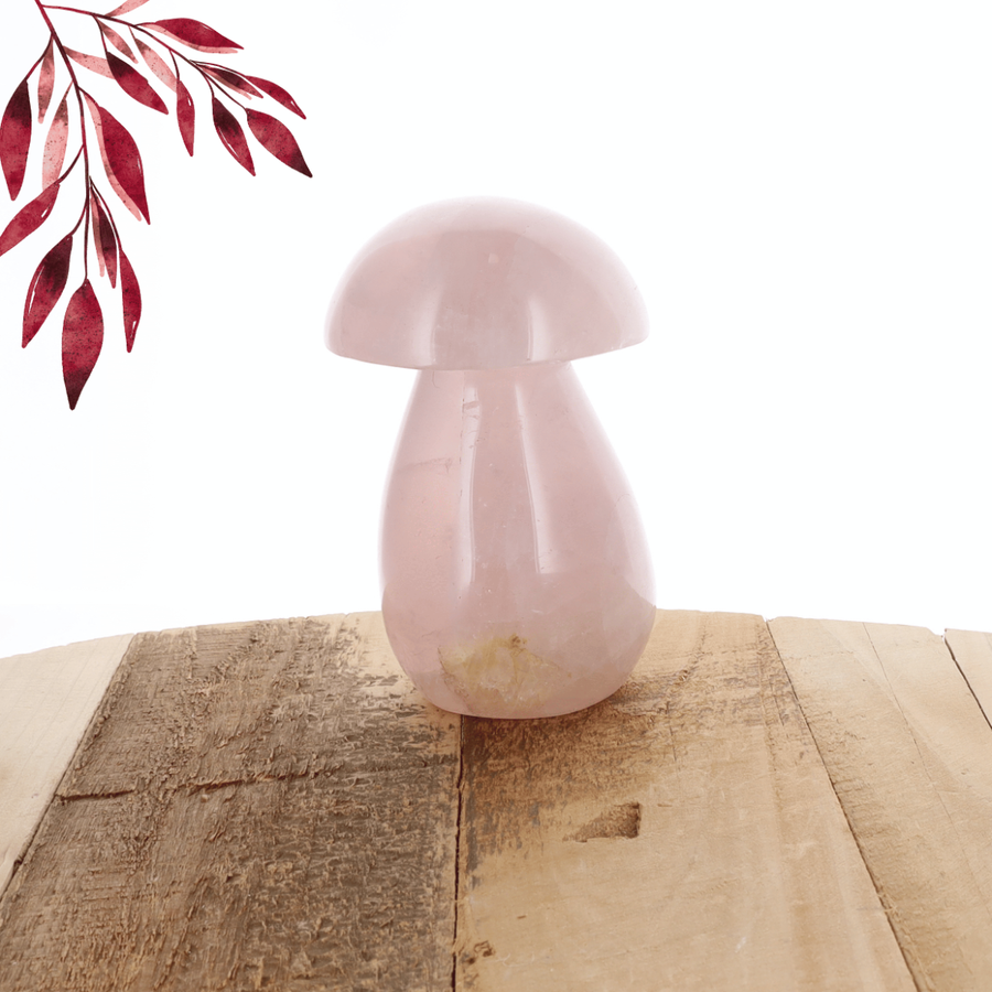Champignon Quartz rose 0.615kg