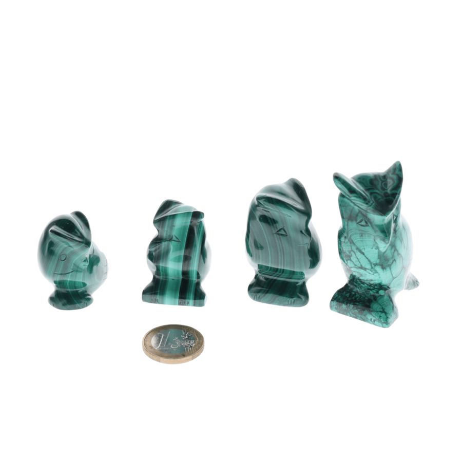 Chouette Malachite