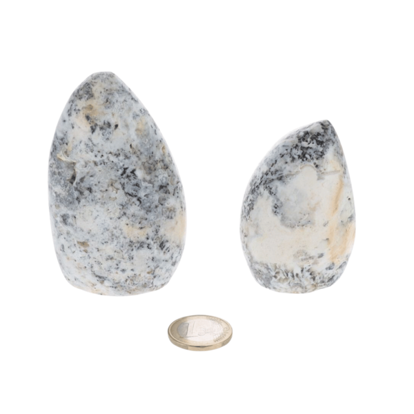 Opale Dendritique 0.305kg