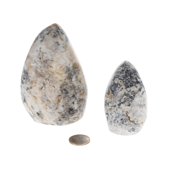 Opale Dendritique 0.625kg