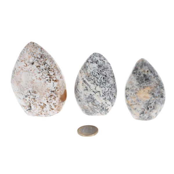 Opale Dendritique 0.520kg
