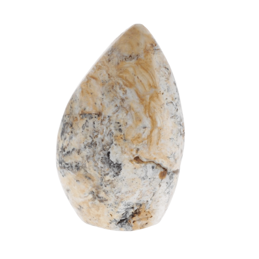 Opale Dendritique 0.630kg