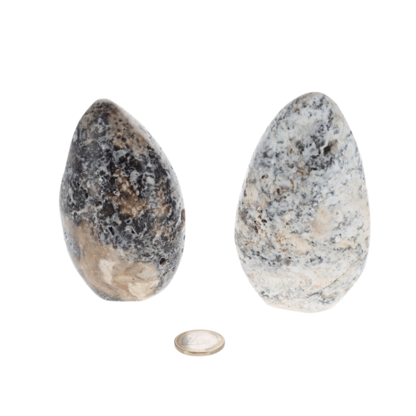 Opale Dendritique 0.655kg