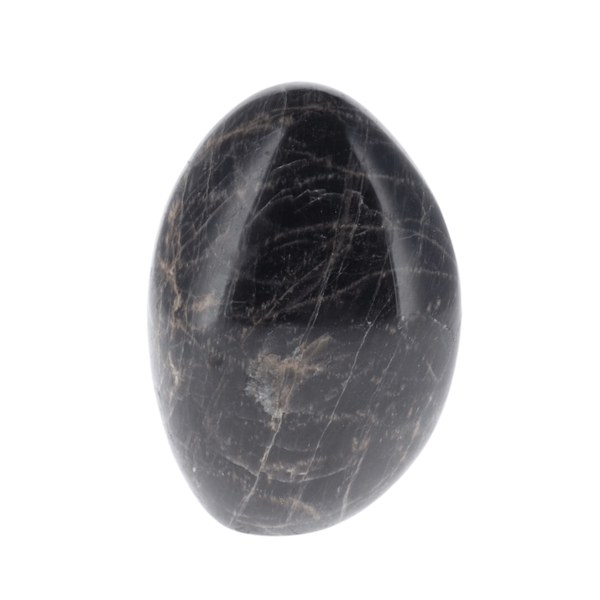 Pierre de Lune noire 0.660kg