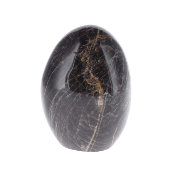 Pierre de Lune noire 0.790kg