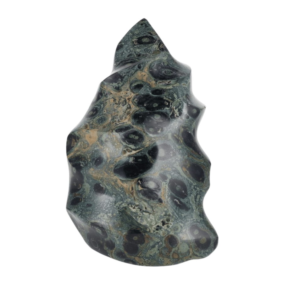 Kambaba Flamme 1.877kg