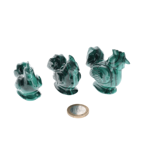Coq Malachite