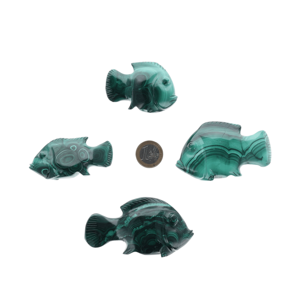 Poisson Malachite