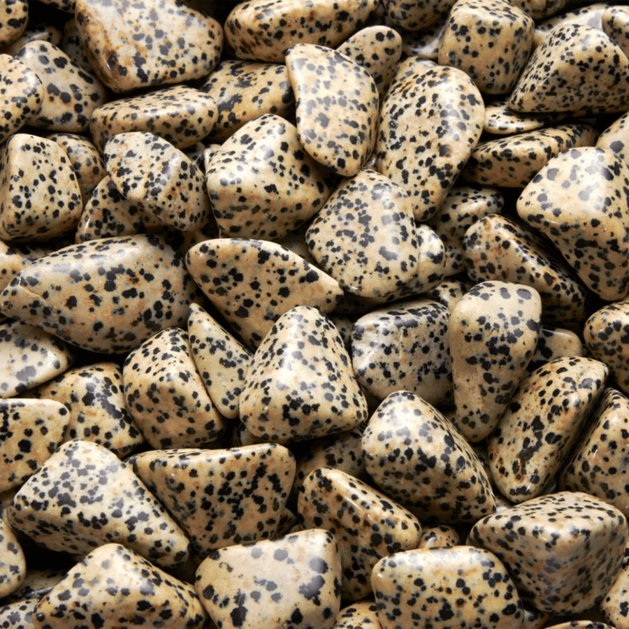 Jaspe dalmatien