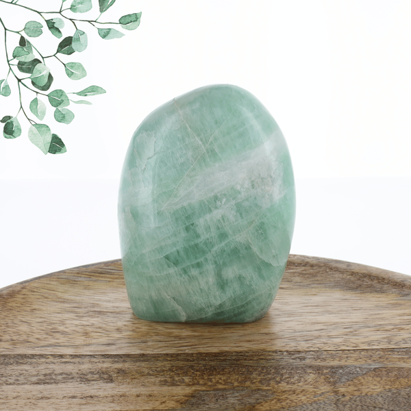 Fluorite 0.555kg