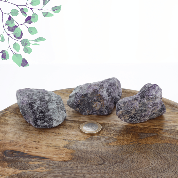 Fluorite Brut 0.460kg