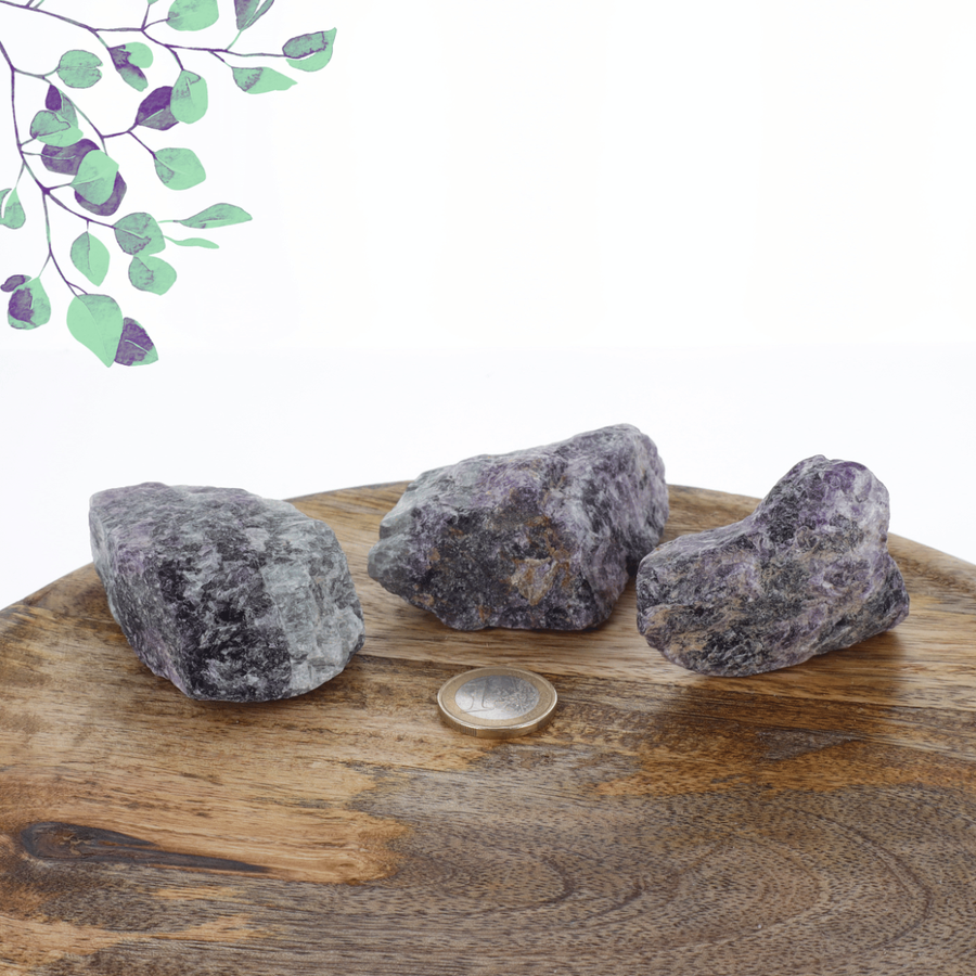 Fluorite Brut 0.460kg