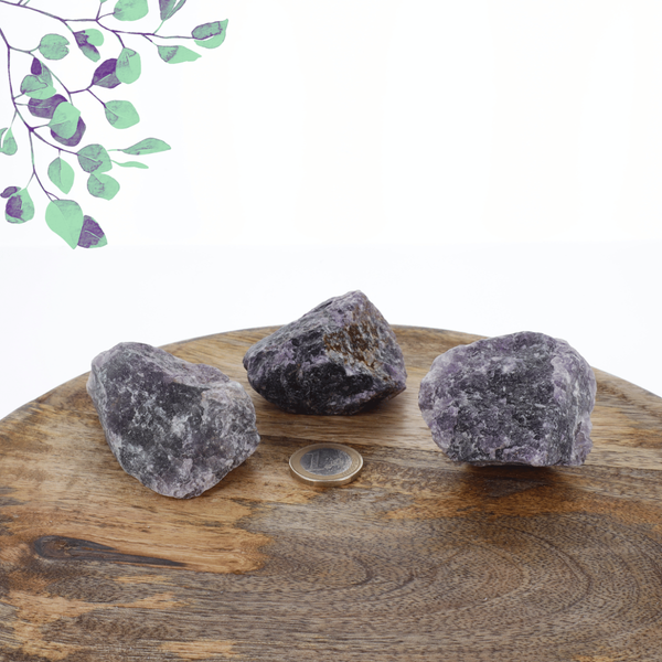 Fluorite Brut 0.405kg