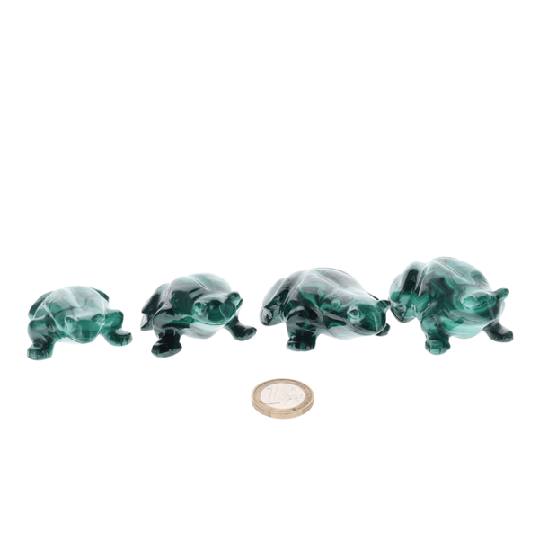 Grenouille Malachite