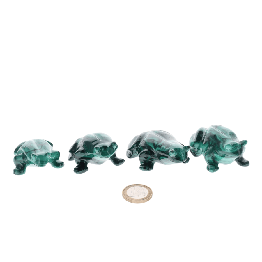 Grenouille Malachite