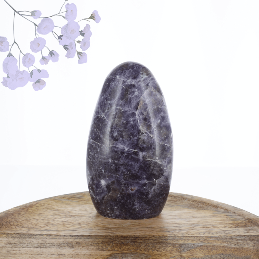 Lépidolite 0.685kg