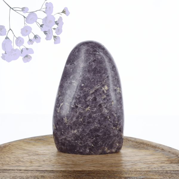 Lépidolite 0.565kg