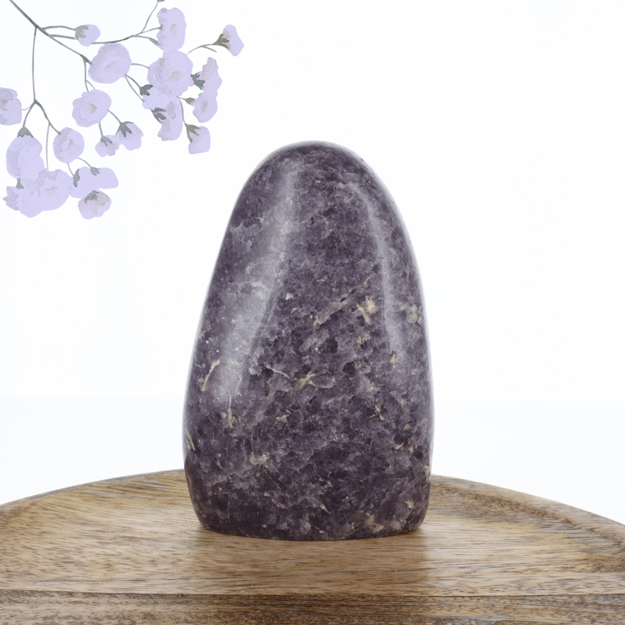 Lépidolite 0.565kg