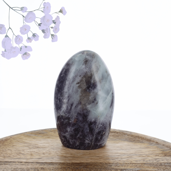 Lépidolite 0.475kg