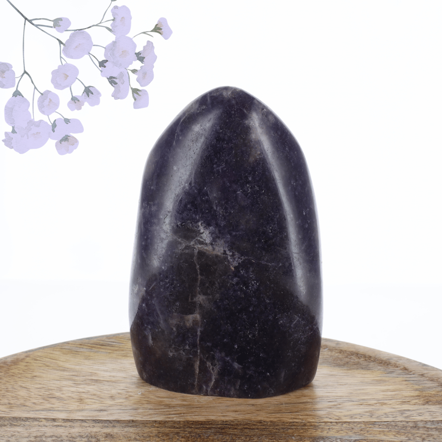Lépidolite 0.725kg