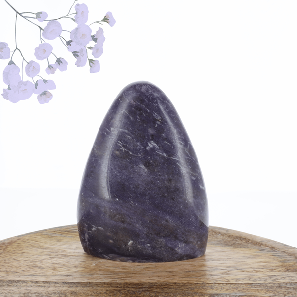 Lépidolite 0.560kg