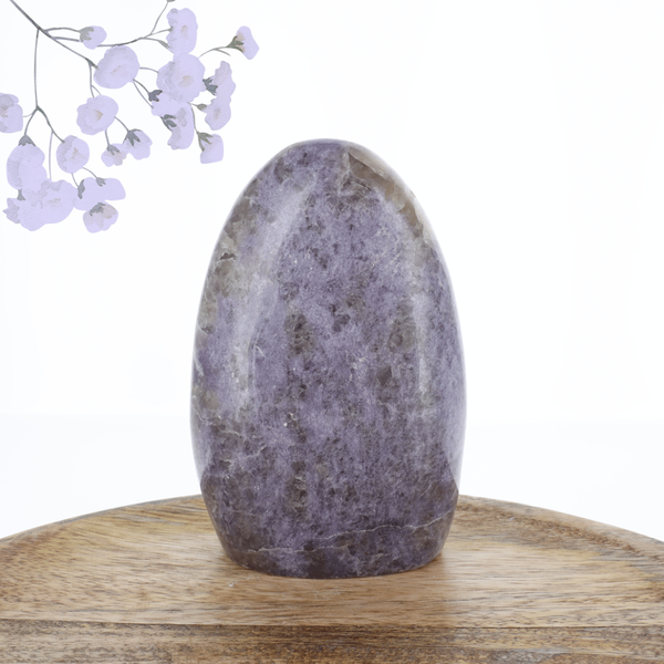 Lépidolite 0.685kg