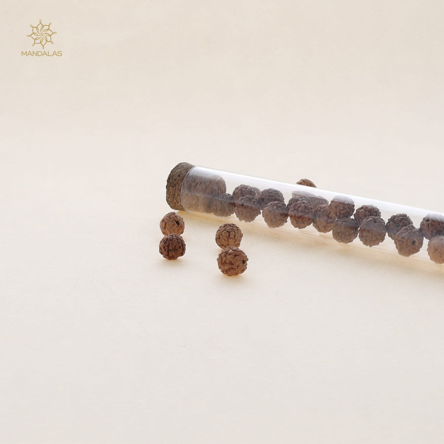 Rudraksha - Bois